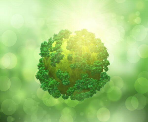 Παγκόσμια Ημέρα Περιβάλλοντος